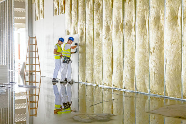 Types of Insulation We Offer in Red Bank, TN